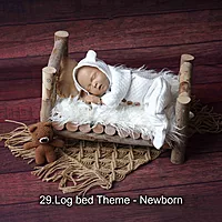 Studio Package (33 Themes)