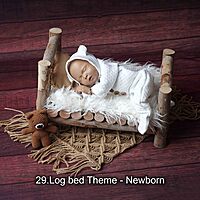 Studio Package (33 Themes)