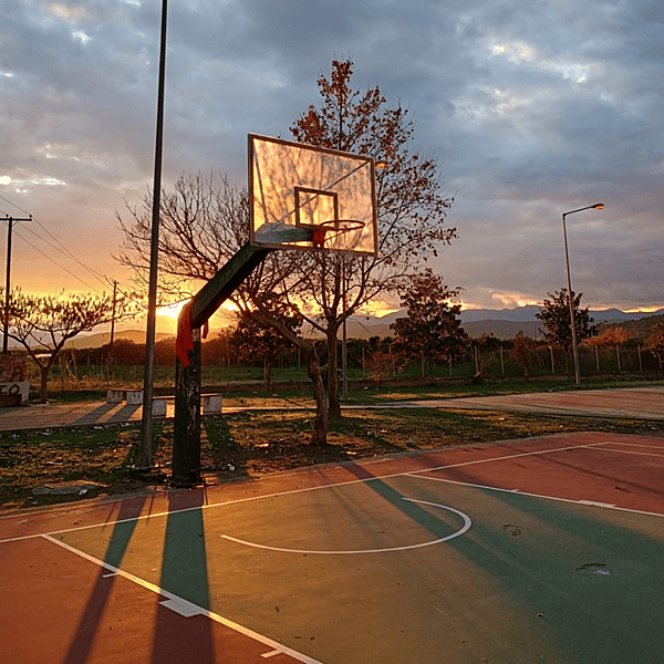 Riverdale International School