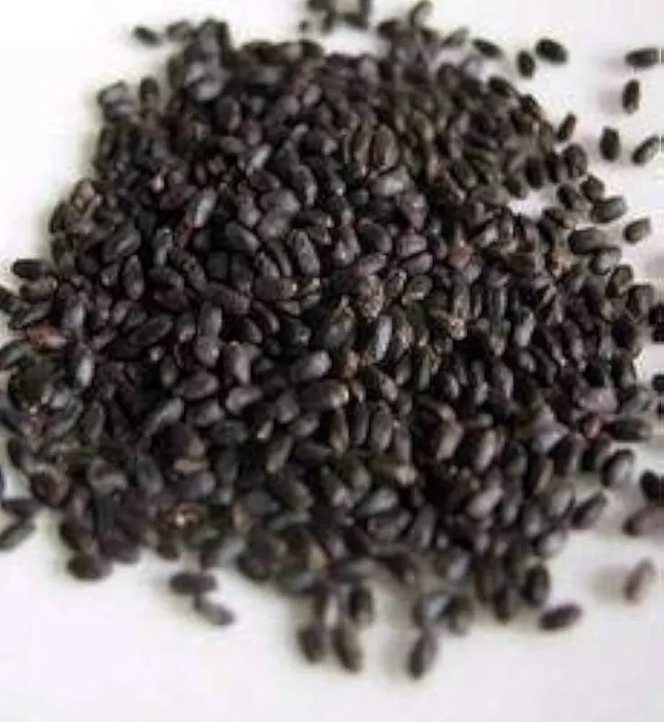 Bavaanje Seed