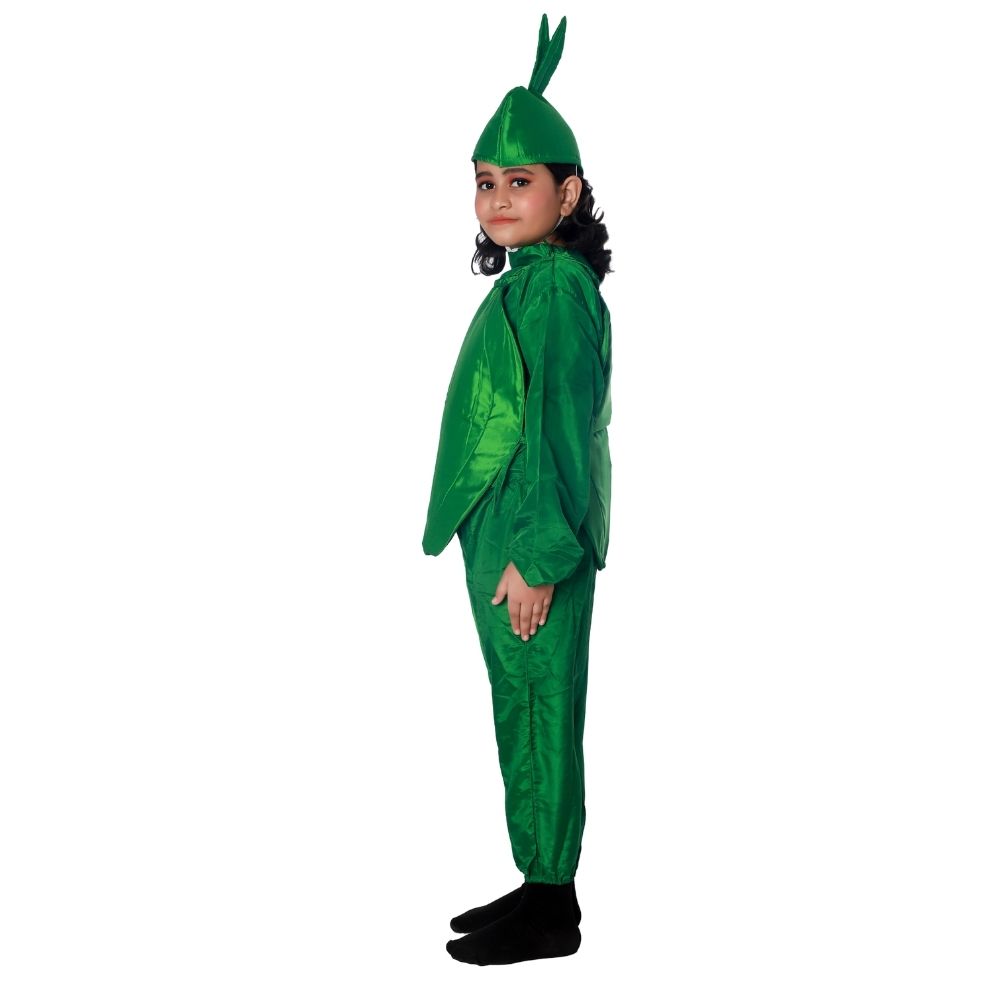 Capsicum Vegetable Fancy Dress Costume