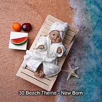 Studio Package (33 Themes)