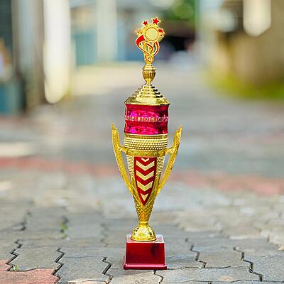 RC-CP1794 C GD  60CM 18%