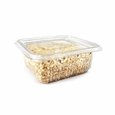 Hinged Container with Side Vents - AT 375 / 375