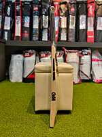 CRICKET BAT GM HYPA 404