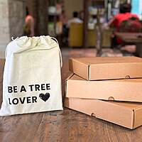 Blank Journal / Sketchbook - Forest Notes