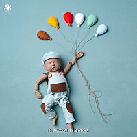 Studio Package (50 Themes)