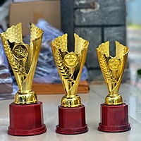 RC-CP1597C GOLD 21.5CM