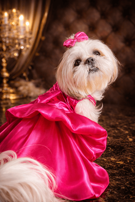 Hot Pink Barbie Dress