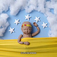 Studio Package (50 Themes)