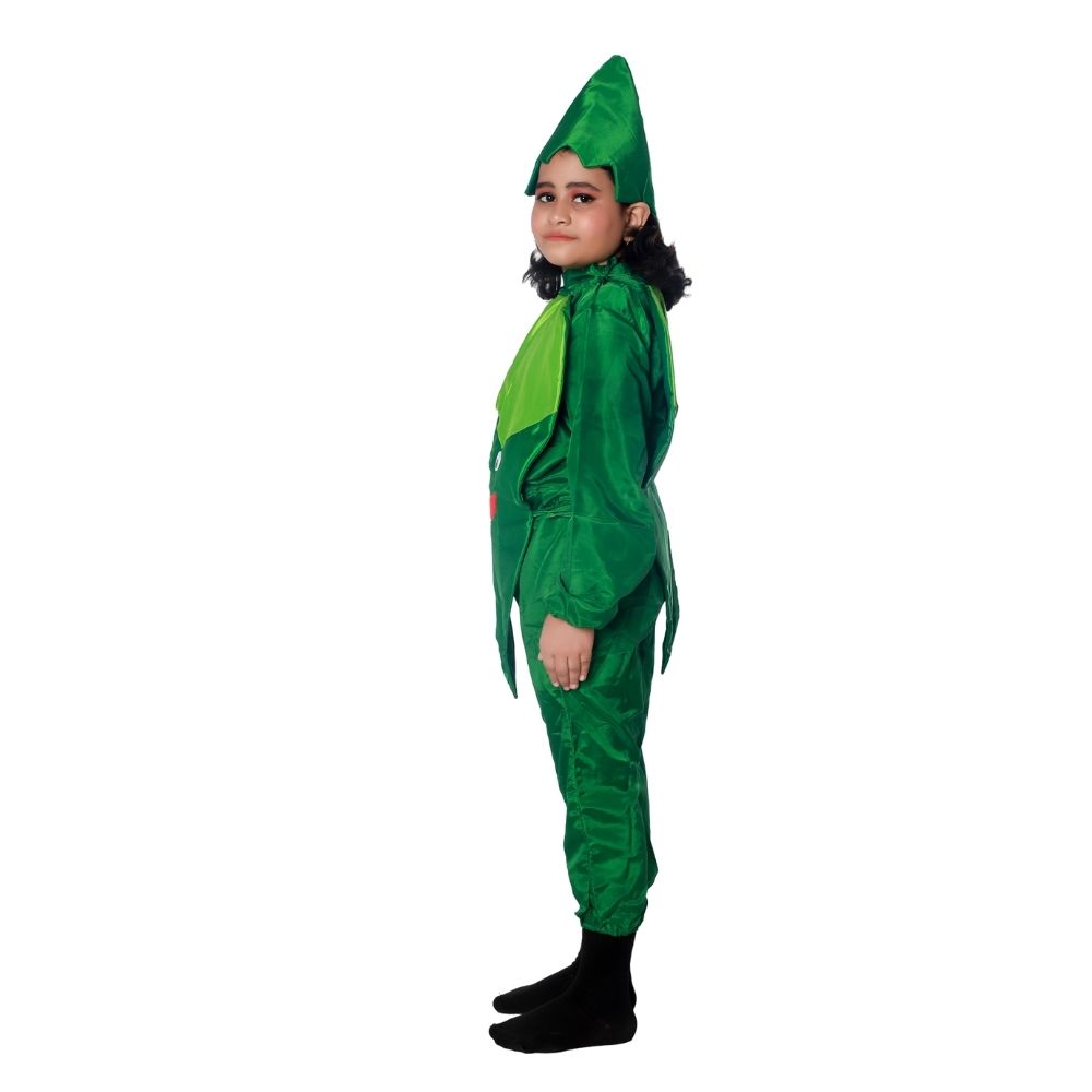 Lady Finger Fancy Dress Costume Lady Finger Fancy Dress Costume