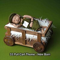 Studio Package (33 Themes)