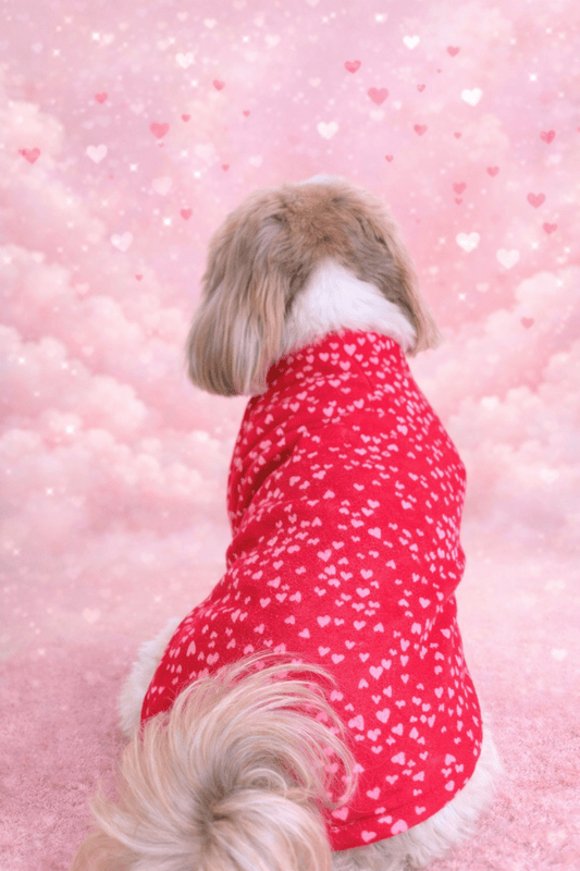 Red Heart Valentine Shirt