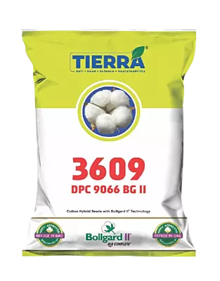 Cotton 3906 BG II Seeds by Tierra