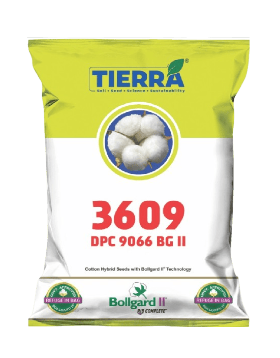 Cotton 3906 BG II Seeds by Tierra