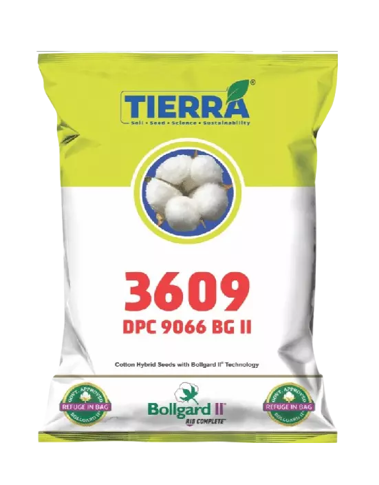 Cotton 3906 BG II Seeds by Tierra