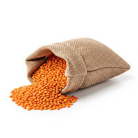 Red Lentil-Masoor Daal- ಕೆಂಪು ಲೆಂಟಿಲ್