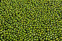 Whole Green Gram - Moong dal