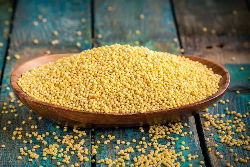 Thinai-Foxtail Millet-Kangni
