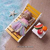 Studio Package (50 Themes)