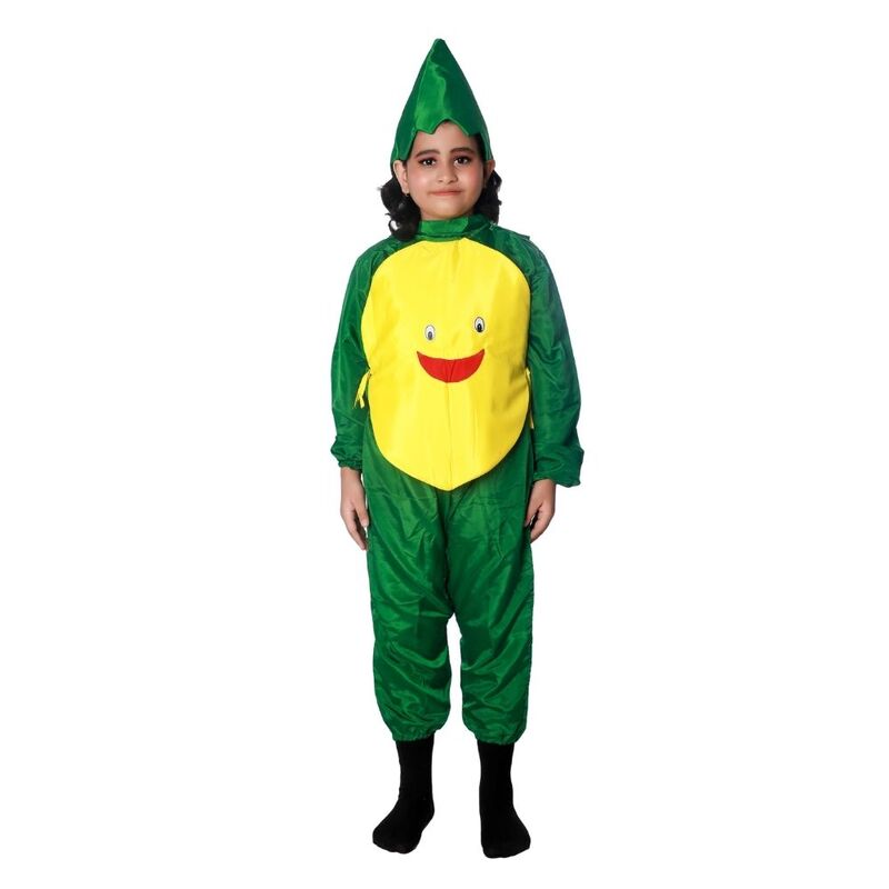 Mango Fruit Fancy Dress Costume