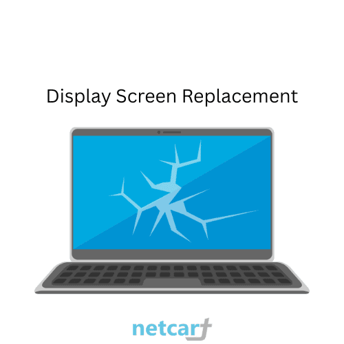 Display Screen Replacement