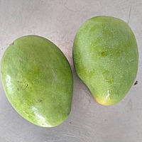 Banginapalli Mango