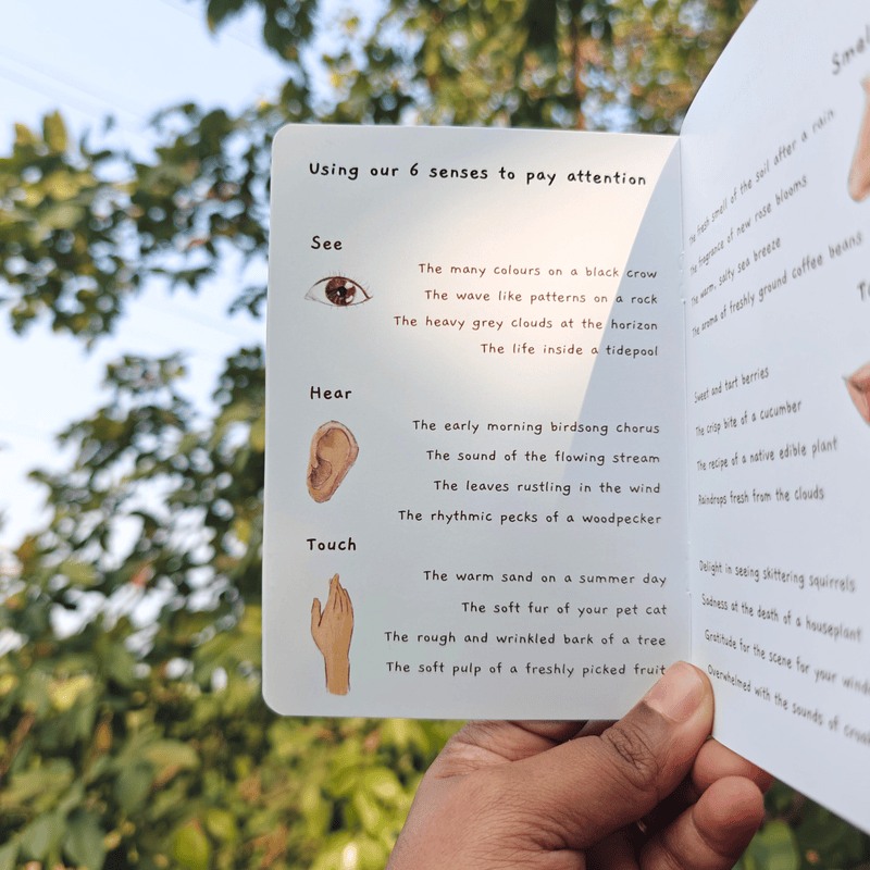 Nature Journaling Zine – Illustrated Pocket Guide to Observation and Curiosity