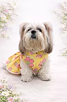 Bloom Summer Frock