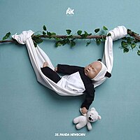 Studio Package (50 Themes)