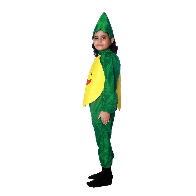 Mango Fruit Fancy Dress Costume Mango Fruit Fancy Dress Costume