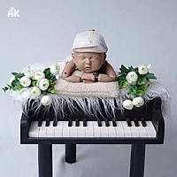 Studio Package (50 Themes)