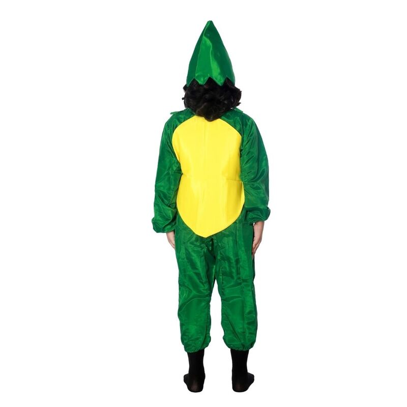 Mango Fruit Fancy Dress Costume Mango Fruit Fancy Dress Costume