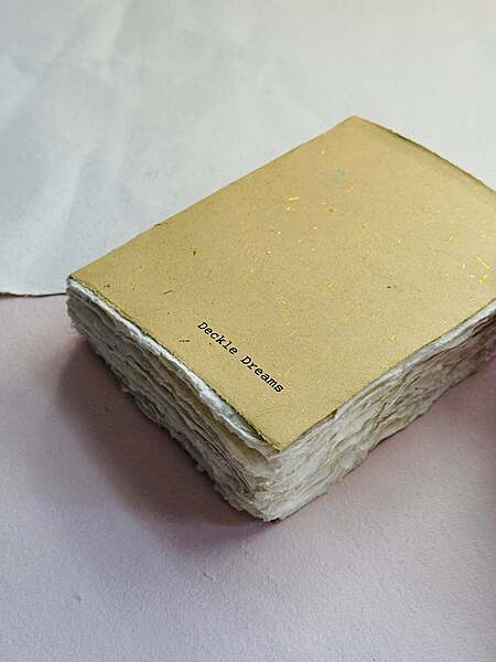 Deckle Edge Art Books – Desert Bloom