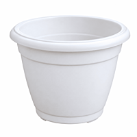3.5 Inch Succulent Plastic Pot | ECSHA