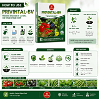 Privintal-BV | Krishi Rasayan | Vetrivel Agro Services