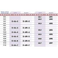 3M ESPE Stainless Steel Primary Crown E( 2nd Molar)