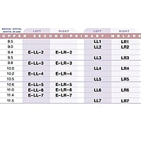 3M ESPE Stainless Steel Primary Crown E( 2nd Molar)