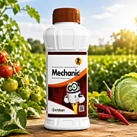 Ichiban MECHANIC® Fungicide (Azoxystrobin + Chlorothalonil) | Vetrivel Agro Services