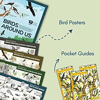 Nature Education Kit (English) Nature Education Kit (English)