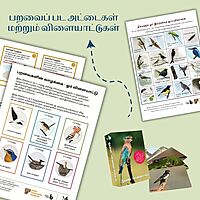 இயற்கைக் களஞ்சியம் | Nature Education Kit (Tamil) இயற்கைக் களஞ்சியம் | Nature Education Kit (Tamil)