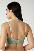 AMANTE Demure Non-Padded Non-Wired Contour Bra 05601