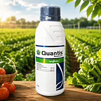 Syngenta QUANTIS® Biostimulant | Vetrivel Agro Services