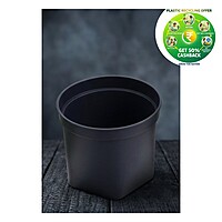 Plastic 3D Pot | 3.5 Inch | Indoor Round Plant Pot