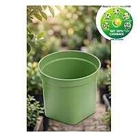 Plastic 3D Pot | 3.5 Inch | Indoor Round Plant Pot