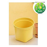 Plastic 3D Pot | 3.5 Inch | Indoor Round Plant Pot
