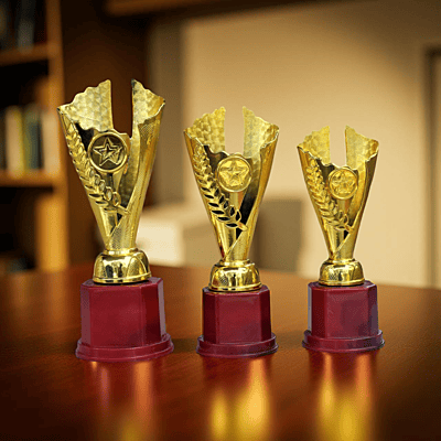 RC-CP1597B GOLD 24CM