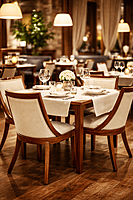 Powell Fine Dining Solidwood Chair