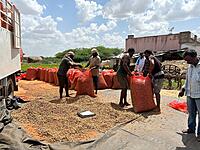 Post-Harvest Handling Area Hygienic Deep Cleaning
