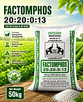 Factomphos 20:20:0:13 | Vetrivel Agro Services